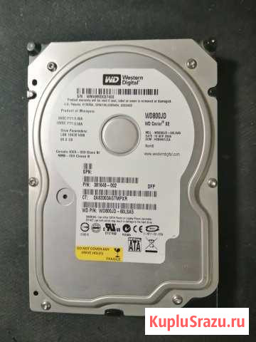 Жесткий диск WD Caviar SE WD800JD 80GB SATA Видное - изображение 1