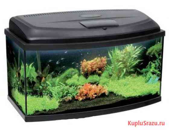 Аквариум и фильтр Tetra Красногорск