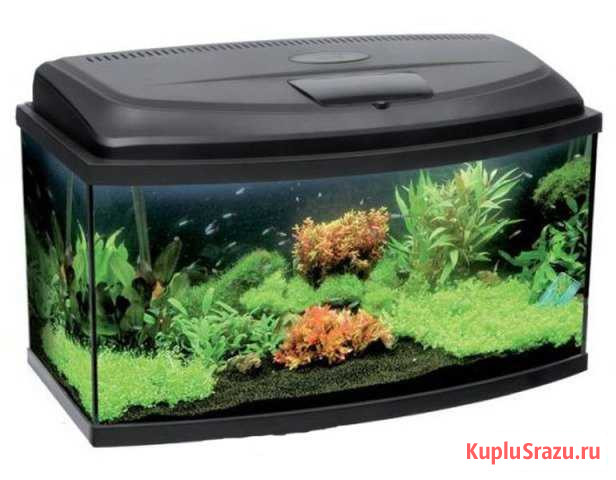 Аквариум и фильтр Tetra Красногорск - изображение 1