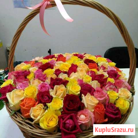 Роза в корзине Ступино - изображение 1