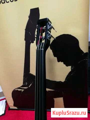 Электроконтрабас. Возможна доводка под Вас Москва - изображение 1