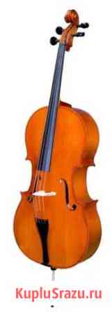 Виолончель студенческая, Strunal Москва