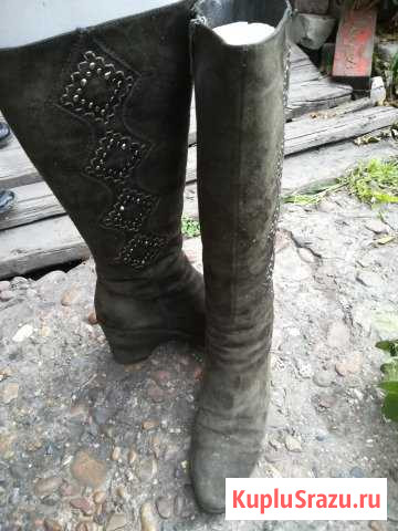 Сапоги зимние замшевые Рубцовск - изображение 1