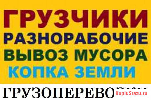 Вывоз мусора.Уборка территории Барнаул - изображение 1