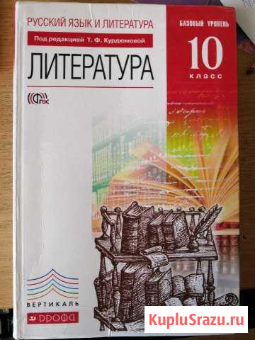Литература 10 класс базовый уровень Т.Ф.Курдюмова Свободный - изображение 1