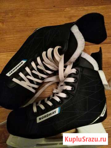 Коньки Вербилки - изображение 1