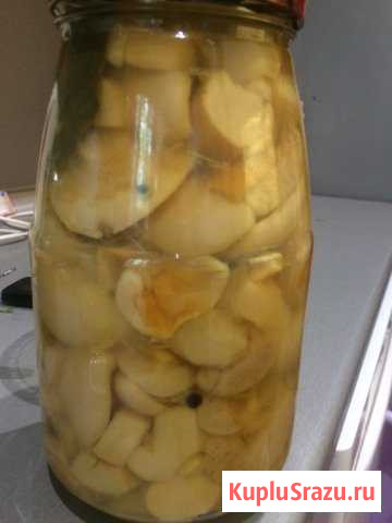 Грибы Маринованные Егорьевск - изображение 1