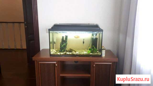 Аквариум 100л Красногорск - изображение 1