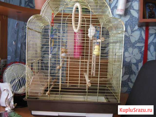 Клетка Озёры - изображение 1