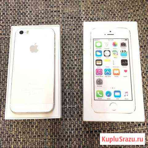 Apple iPhone 5s Благовещенск