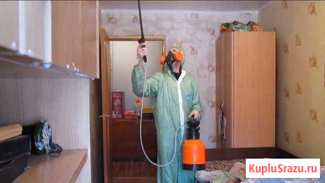 Дезинсекция, уничтожение клопов, тараканов Дзержинск - изображение 1
