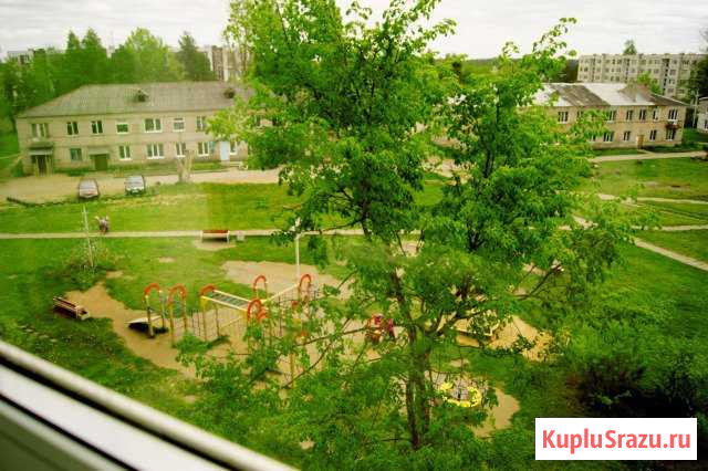  Волосово - изображение 1