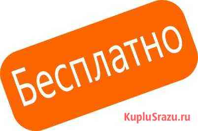 Диагностика ходовой части авто - бесплатно Коркино