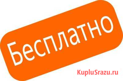 Диагностика ходовой части авто - бесплатно Коркино - изображение 1