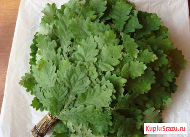 Веники дубовые Арзамас - изображение 1