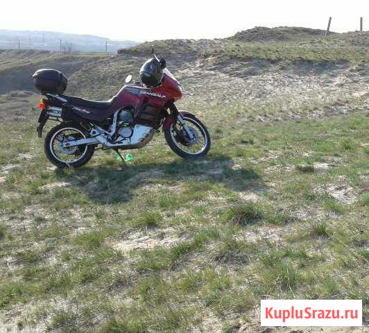 Продам Honda transalp 600 Энгельс - изображение 1
