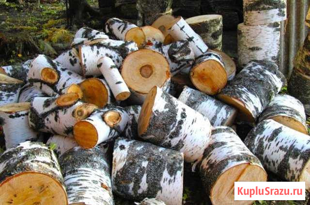 Берёза с доставкой Томск - изображение 1