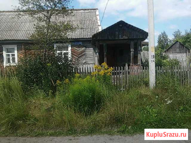 Дом 30 кв.м. на участке 33 сот. Сельцо - изображение 1