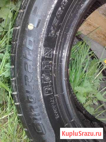 Шины Pirelli Cunturato Сосново - изображение 1