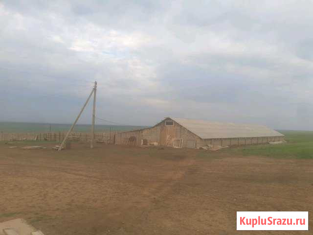  Троицкое - изображение 1