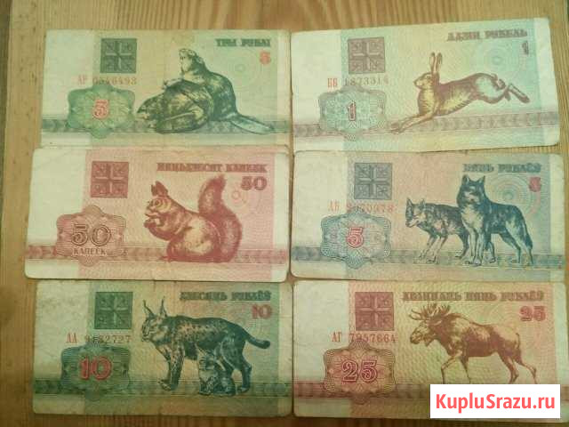 Банкноты купюры Беларусь 1992 зайчики Петрозаводск - изображение 1