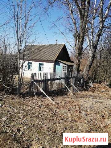 Дом 20 кв.м. на участке 36 сот. Печерск - изображение 1