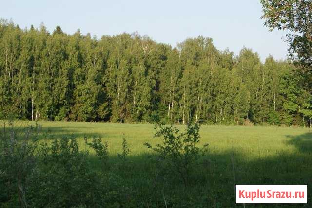  Ярцево - изображение 1