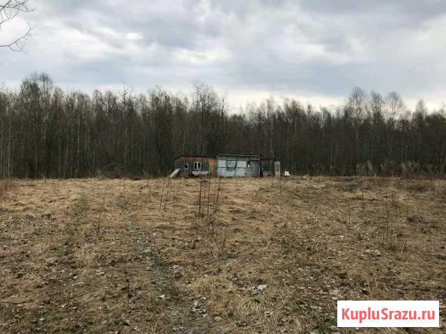  Кондопога - изображение 1