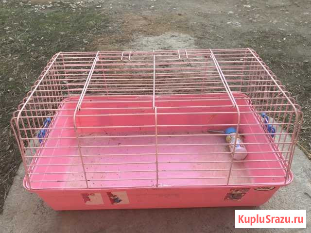 Клетка для животного Волгореченск - изображение 1