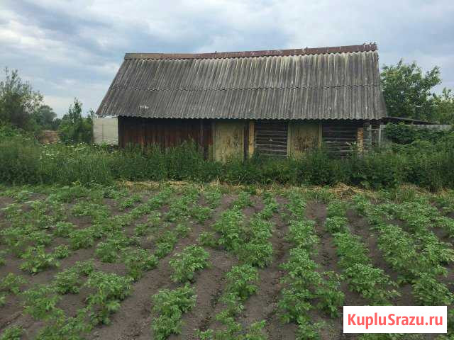 Дом 35 кв.м. на участке 70 сот. Дубенки - изображение 1