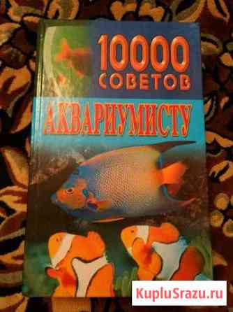 Книга Вязьма