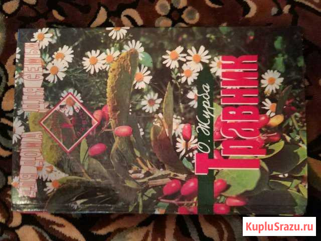 Книга Вязьма - изображение 1