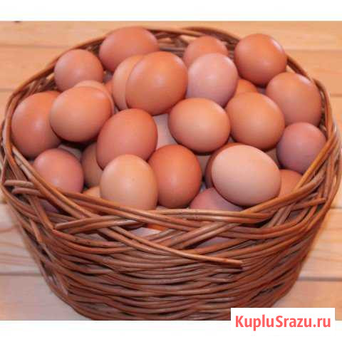 Яйцо от домашних кур Мичуринск - изображение 1