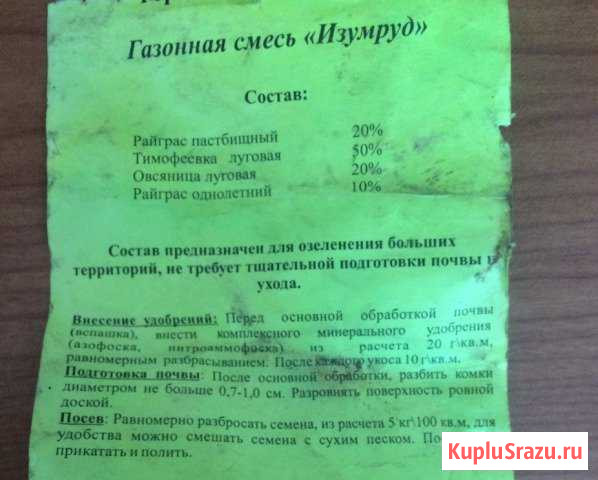 Газонная смесь Торжок - изображение 1
