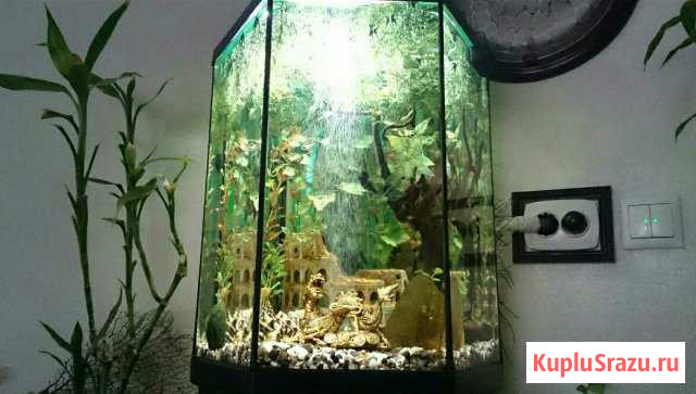 Аквариум Aquael Hexagon 60литров. Шестигранник Раменское - изображение 1