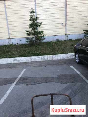 Машиноместо в аренду в Новоивановском Новоивановское - изображение 1