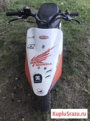 Honda dio Долгопрудный - изображение 1