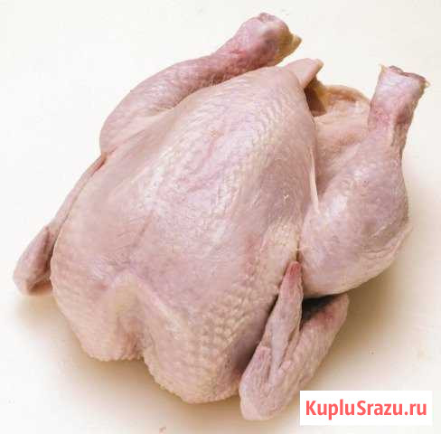 Мясо цыплят бройлеров Обухово - изображение 1