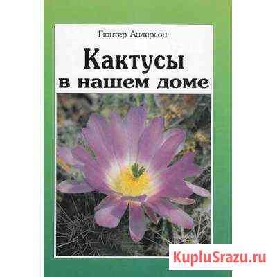 Гюнтер Андерсон «Кактусы в нашем доме» Томилино