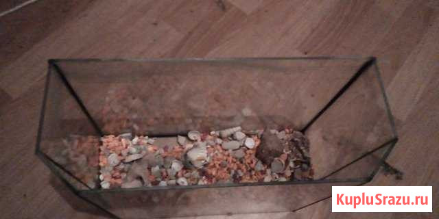 Продам Аквариум Дмитров - изображение 1