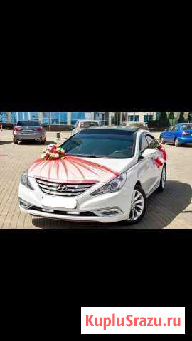 Аренда авто с водителем Одинцово - изображение 1