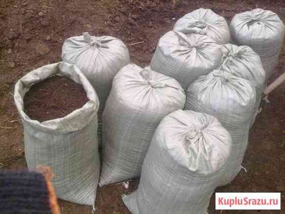 Перегной Чехов