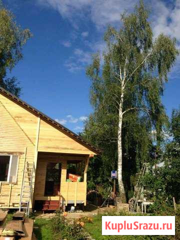Удаление деревьев Красногорск - изображение 1