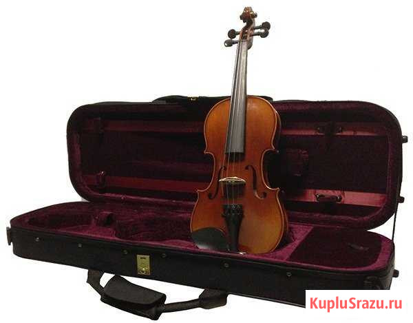 405-4/4 Скрипка, Strunal+ кейс Москва - изображение 1