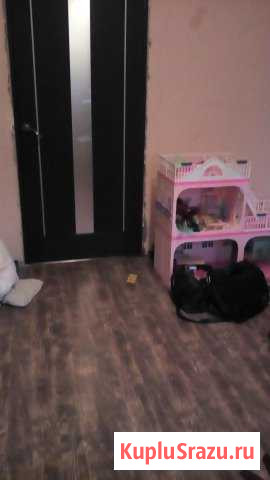  Новосиньково - изображение 1