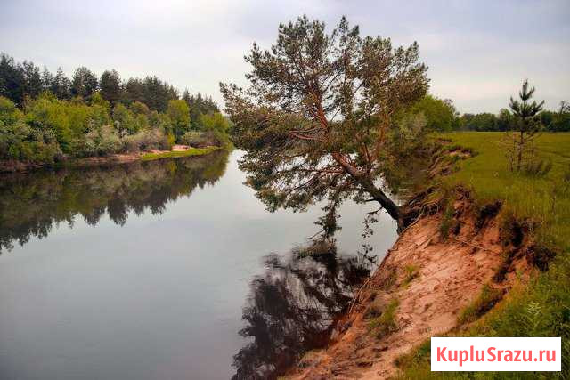 Поход на байдарках по реке Клязьма на выходные Химки - изображение 1