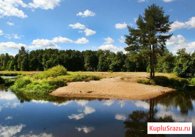 Поход на байдарках по реке Нерская Химки - изображение 1