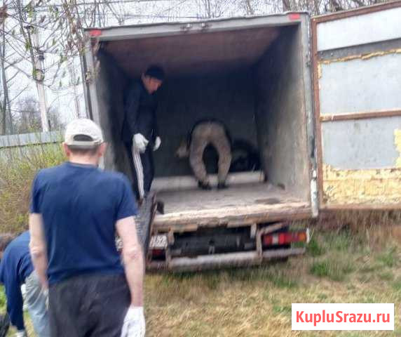Вывоз и утилизация мусора и хлама Троицк - изображение 1