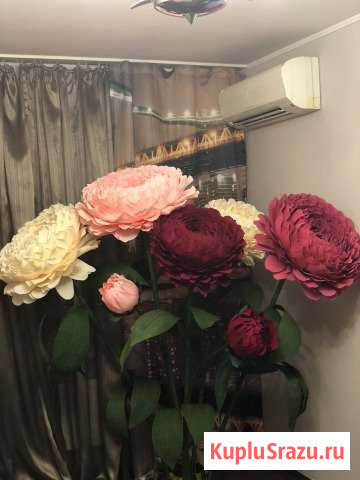 Ростовые цветы Чехов - изображение 1