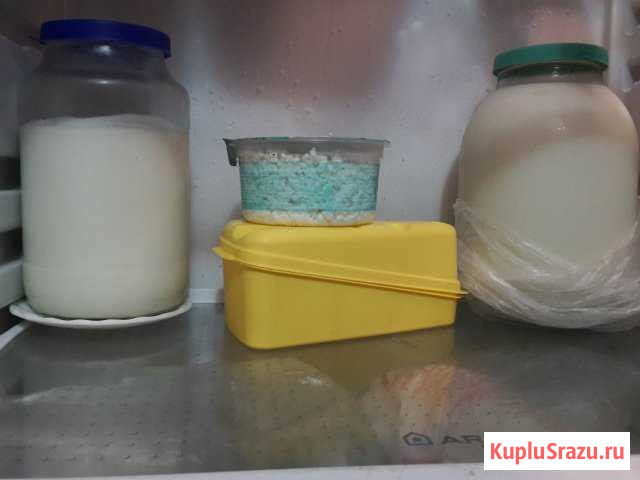 Молоко и продукты коз Платнировская - изображение 1